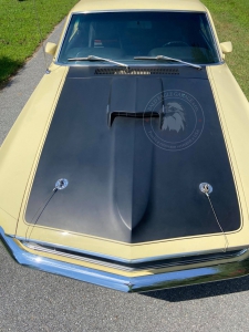 Veterán Ford Mustang Mach 1 1969